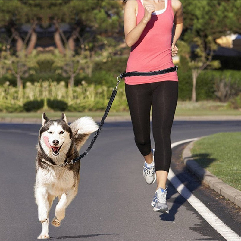 Adjustable Pet Harness And Leash: The Ultimate Companion for Your Furry Friend