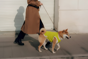 Stylish Comfort With Pet Clothes