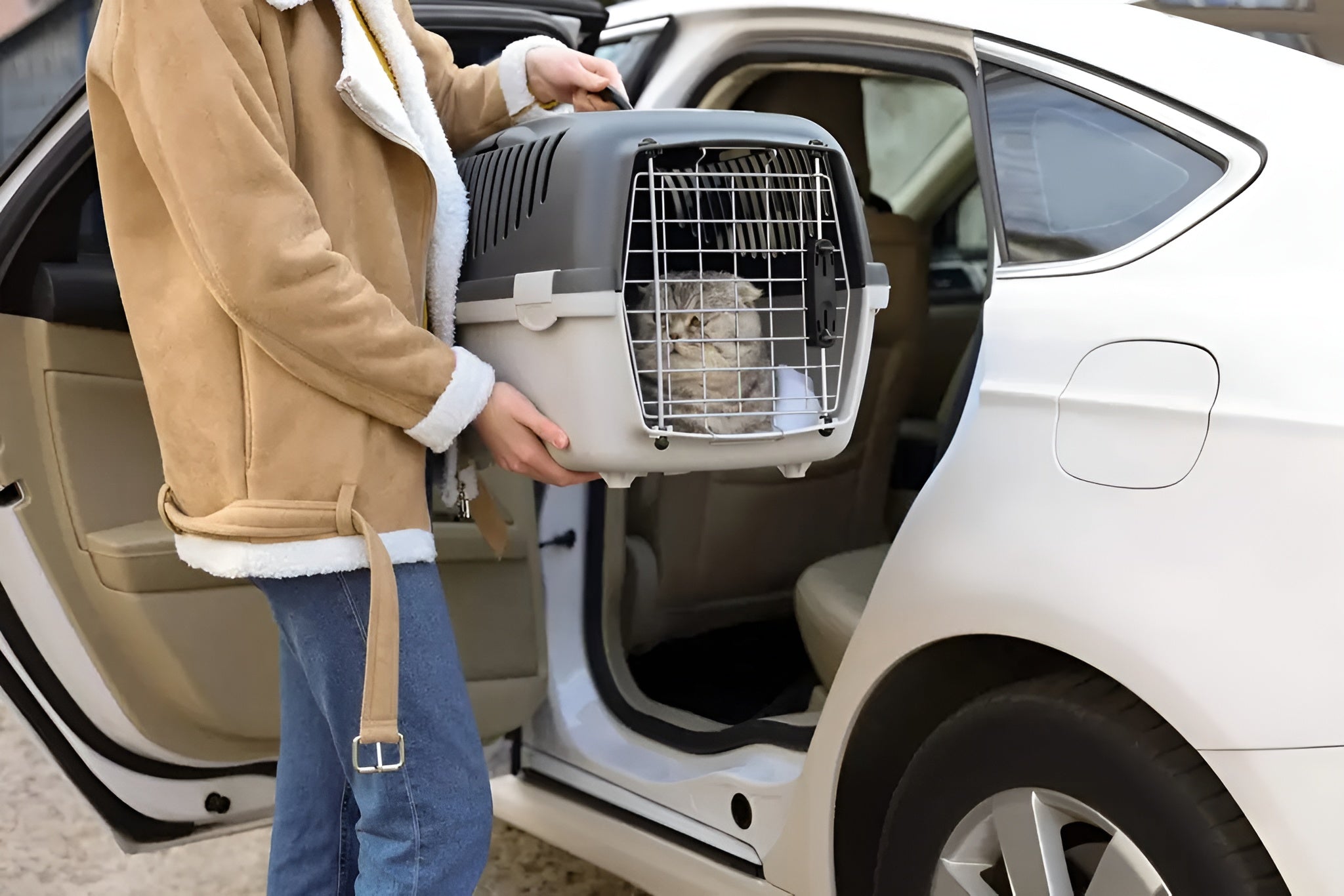 Choosing Perfect Pet Carriers Today