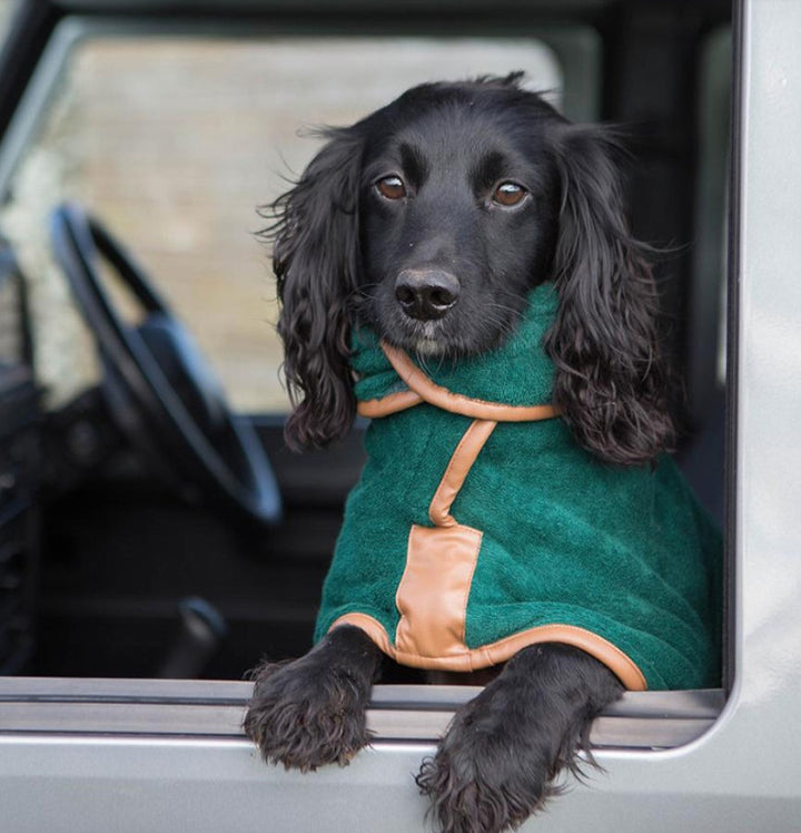 1a401e4e9ef7f51a37273871807139a1